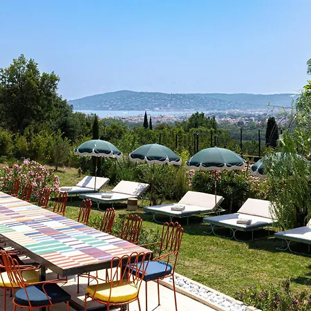 Sumptuous Provencale *